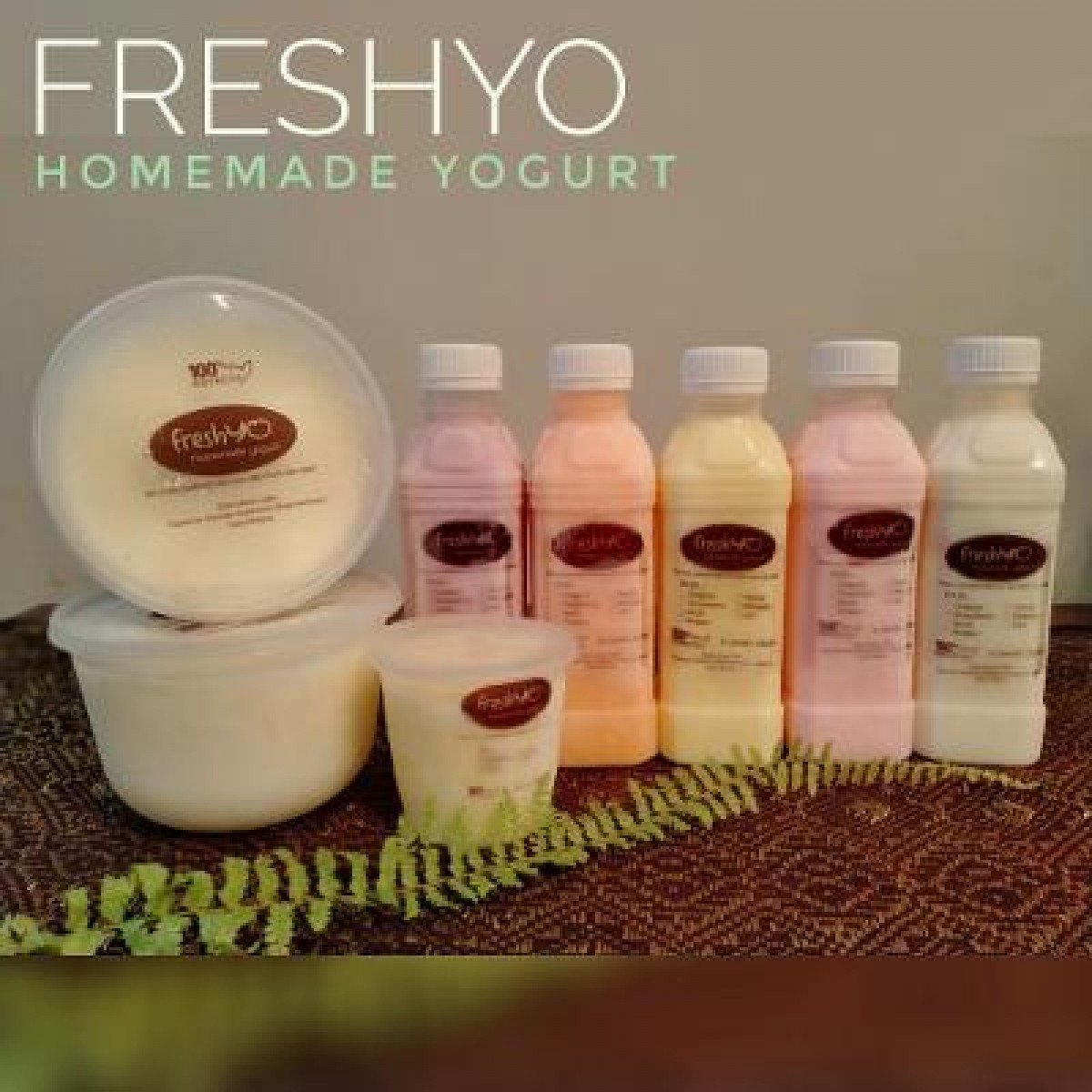 FreshYo - Homemade Yogurt